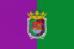 malaga flag